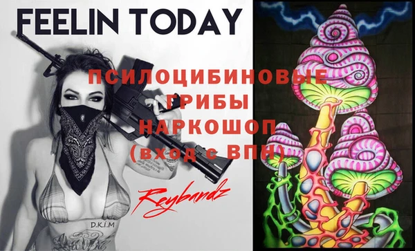 спиды Горняк