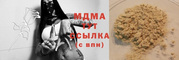 спиды Горняк