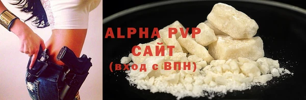 спиды Горняк