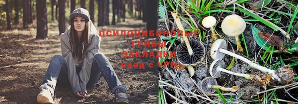 кокаин премиум Горно-Алтайск