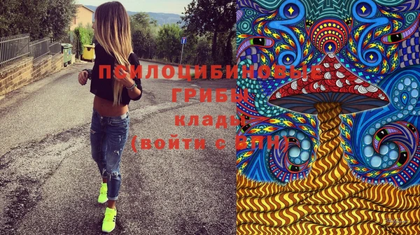 спиды Горняк