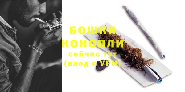 спиды Горняк