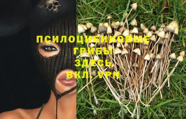 кокаин премиум Горно-Алтайск
