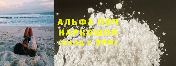 спиды Горняк