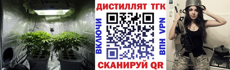 Дистиллят ТГК концентрат  hydra ТОР  Заволжье 