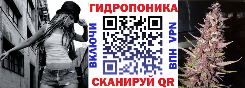 Бошки марихуана VHQ  где купить   Заволжье 